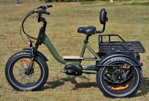 Bicicletta Elettrica Cargo a 3 Ruote OTM 48V 1000W con Pneumatici Fat 20*4.0, Motore Centrale, Telaio in Lega di Alluminio, Batteria al Litio 15Ah e Portapacchi Posteriore Lungo - Product Image 6