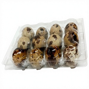 High Quality 18 20 24 30 CPET Blister Clear Quail <strong>Egg</strong> Carton Transparent 12 Grids <strong>Eco</strong> Friendly Clamshell Tray for Quail <strong>Eggs</strong> - Product Image 4