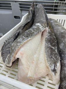 Mermelada Patagónica o Lubina Chilena HGT Producto Pescado Premium - Product Image 2