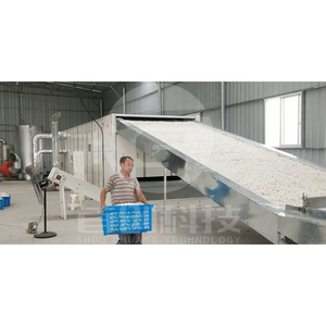 Essiccatore Industriale di Alta Qualità per Bozzoli di Baco da Seta - Product Image 2