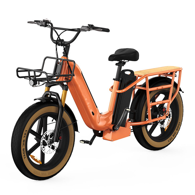 Electric Cargo Bicycle 750w Power Aluminum Alloy 48v 30ah Lithium Battery Can Carry Weight Ebike Adult Cargo