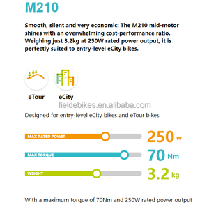 Spot Supply Bafang Mid Drive Moteur nu M210 MM G2300.250.C 36V 250W Kit de conversion de vélo électrique pour vélo ECity ETour - Product Image 5