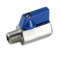 Mini vanne à boisseau sphérique pour jardin, connecteur d'eau, poignée en acier inoxydable, filetage NPT/BSPT interne/extérieur, SS304, 1/4"-1" pouce