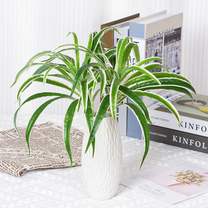 Plante artificielle murale en forme d'araignée, 35 pouces, verte avec bords blancs, fleur en soie plastique, décoration intérieure - Product Image 1