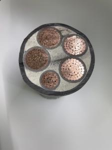 <span class=keywords><strong>3</strong></span> + 1/<span class=keywords><strong>3</strong></span> + <span class=keywords><strong>2</strong></span>/4 + 1芯10/16/25/35/50平方铜芯电缆WDZBN-YJY23 - Product Image 3