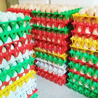 Yyc plastique 30 oeufs plats plateau d'oeufs de poulet en plastique réutilisable pour ferme de poulets