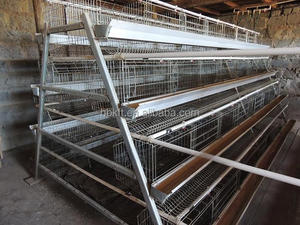 Cage à poules de type A à vendre, élevage avicole, cage à 3 ou 4 niveaux, cage à poules pondeuses pour utilisation à la ferme, cage à poules pondeuses - Product Image 2