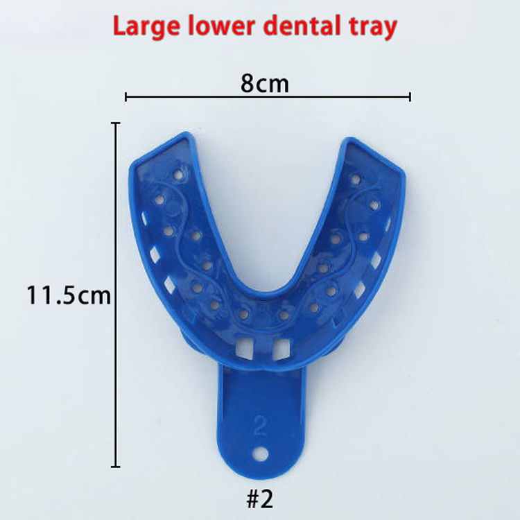 #2 Vassoi dentali inferiori grandi