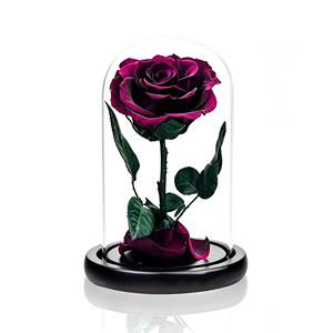 Roses noires préservées sous cloche en verre, fleurs préservées <span class=keywords><strong>de</strong></span> taille moyenne en provenance <span class=keywords><strong>de</strong></span> Chine, coffret cadeau pour femmes - Product Image 5