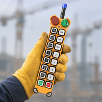 Control Remoto Inalámbrico Industrial con Certificación CE F24-14D, 14 Botones, Doble Velocidad para Grúa Puente