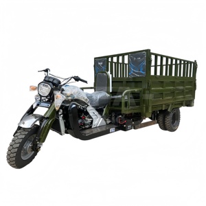 Triciclo de Gasolina de 150cc con Cabina para Pasajeros, Vehículo de 3 Ruedas en Venta - Product Image 3