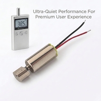 6mm Bürstenloser Mikromotor JL-0612V ROHS-Zertifiziert Permanentmagnet-Vibrationsmotor für Gesundheitsprodukte und Geräte