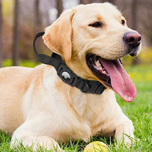 Collar Personalizado de Nailon Ajustable con Etiqueta de Aire para Perro, Accesorio Respetuoso con el Medio Ambiente - Product Image 4