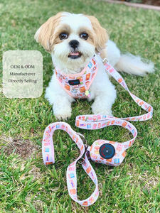 Nettes Haustier zubehör Deluxe Hunde geschirrset Verstellbares Haustier geschirr mit Leine, Halsband, Bandana, Bowtie & Poop Bag Holder - Product Image 3