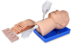 <span class=keywords><strong>Crico</strong></span>-Modèle de ponction thyroïdienne Science médicale Mannequin d'injection de soins infirmiers Modèle anatomique en PVC pour écoles et hôpitaux - Product Image 2