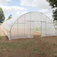 Projet clé en main de serre commerciale de grande taille pour tomates et fraises avec film PE, structure en acier et couverture transparente - Équipement agricole