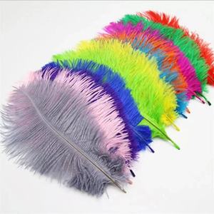 Trang phục lễ hội <span class=keywords><strong>2025</strong></span> 18-20 inch (45-50 cm) LÔNG đà điểu nhuộm - Product Image 3