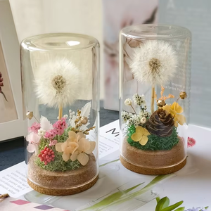 Hecho a mano Real diente de león flor seca planta inmortal espécimen cubierta de vidrio Micro paisaje decoración de escritorio adornos graduación - Product Image 3