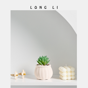 Macetas de Cerámica para Suculentas, Estilo Jardín, Acabado Esmaltado, con Orificio de Drenaje, Ecológicas, Duraderas, Venta al Por Mayor - Product Image 2