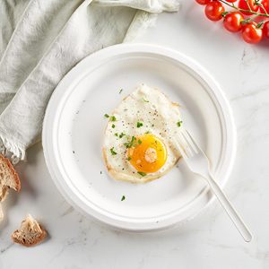 Nhà máy 100% compostable PLA Combo thiết lập dao kéo nhựa dùng một lần dĩa thìa dao phân hủy sinh học đồ dùng - Product Image 4