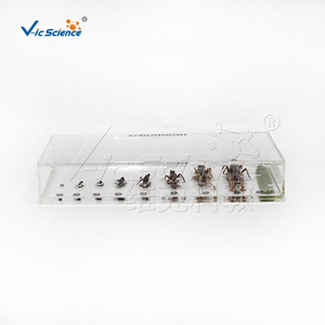 Especímen transparente de Plastomount del ciclo de vida del locustino, muestra de insecto real para estudio de laboratorio biológico CE/ISO/ROHS/CNAS - Product Image 1