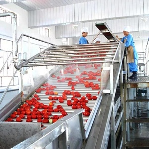 Equipo Industrial para el Procesamiento de Pasta de Tomate, Tipo Concentrado y a Granel, para Suministro al por Mayor - Product Image 4