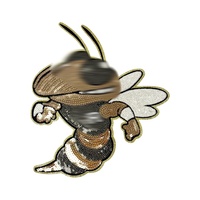 Appliques thermocollantes personnalisées en forme de grande abeille à paillettes scintillantes pour vestes, t-shirts et décoration de vêtements de boutique