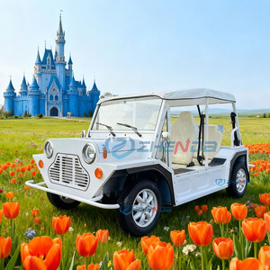 Voiture classique électrique entièrement métallique, fabriquée sur mesure, haute performance, véhicule spécial, vitesse maximale de 30 km/h, pour les voyages de loisirs en plein air - Product Image 4