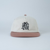 Casquette Snapback en Coton Bicolore Non Structurée à 5 Panneaux, Broderie Plate de Haute Qualité, Logo Personnalisé, Vente en Gros