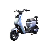 Bicicleta eléctrica, Scooter eléctrico para adultos, Motocicleta eléctrica clásica