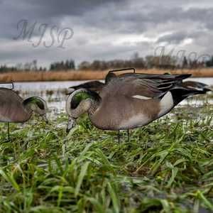 Nhà Máy Bán buôn sống động như thật unti-scratch Ánh sáng trọng lượng Silhouette wigeon có thể tái chế Silhouette decoys vịt mồi săn mồi - Product Image 6