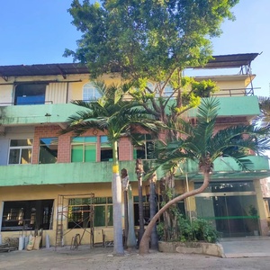 Tùy Chỉnh Lớn Vua Cọ Hồ Bơi Ngoài Trời Trong Nhà Trang Trí Nội Thất Giả Nhân Tạo Hoàng Gia <span class=keywords><strong>Coco</strong></span> Cây Cọ - Product Image 5