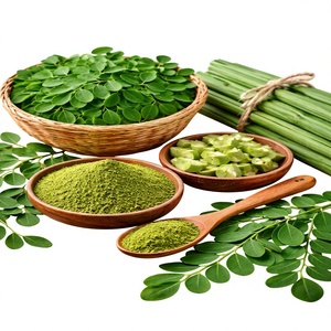 Poudre de feuilles de Moringa, poudre végétale naturelle verte, ingrédient à base de plantes, approvisionnement en vrac, qualité d'exportation - Product Image 6