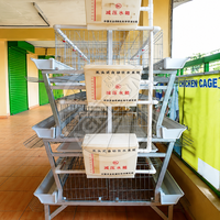 Nouvelle cage à poules pondeuses Agricon de type H, ferme avicole, alimentation et abreuvement automatiques, collecte des œufs, acier galvanisé à chaud, 96-160