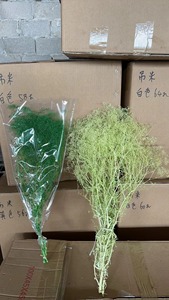 Mini Gipsofila Elegans Stabilizzata Velo di Sposa Essiccata Decorazione per Eventi per Composizioni Festa della Mamma e Natale - Product Image 6