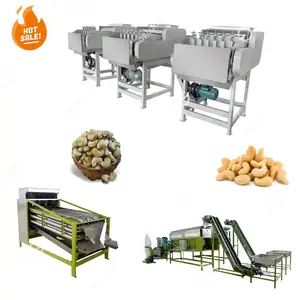 Cashew Wine Processing Machine Fully Automatic Machine Raw Cashew Processor