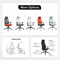 Chaise de bureau ergonomique moderne avec dossier en maille respirante, siège réglable et structure en plastique pour une utilisation prolongée à domicile ou au bureau