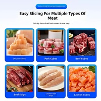 Machine de découpe de blocs de viande entièrement automatique, adaptée à la viande fraîche et semi-congelée, équipement commercial de transformation de la viande