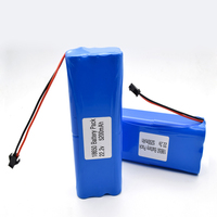 Batterie rechargeable GEB Factory 18650 6S2P 22.2V 5200mAh 5.2Ah avec PCM pour éclairage LED, batterie lithium-ion 36V 24V 12V 48V