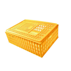 Jaula de Plástico de Alta Calidad para Transporte de Aves de Corral, Caja de Transporte para Pollos, Patos, Gansos y Codornices en Á<span class=keywords><strong>frica</strong></span> - Product Image 2