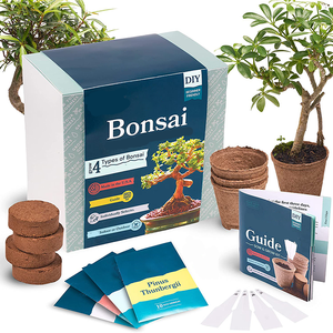 Regali <span class=keywords><strong>di</strong></span> natale per interni per esterni 4 <span class=keywords><strong>tipi</strong></span> <span class=keywords><strong>di</strong></span> strumenti <span class=keywords><strong>Bonsai</strong></span> naturali set Kit <span class=keywords><strong>da</strong></span> giardino con strumenti - Product Image 1