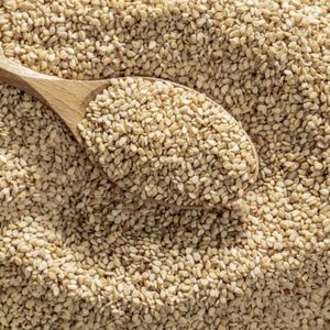 फैक्ट्री छिलके वाले सफेद तिल के बीज बेचती है, जो तेल से भरपूर और बेहतर गुणवत्ता वाले होते हैं - Product Image 6