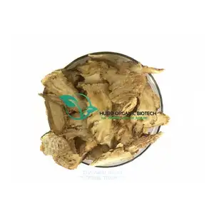 Angelica Root/Slice/Dong Quai Powder/Angelica Ekstrak Grosir Jumlah Besar