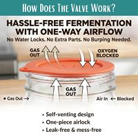 Kit de Fermentation en Acier Inoxydable avec Bocal en Verre Transparent à Large Ouverture 32oz Amish Chef pour la Fabrication de Cornichons, Kimchi et Choucroute avec Système Airlock
