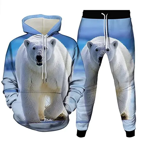 Мужской спортивный костюм Galaxy с 3D-принтом белого медведя, женские толстовки, брюки для бега, уличная одежда
