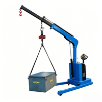Mini-grue de chantier mobile et portable, entièrement hydraulique, électrique, à batterie, à flèche télescopique, capacité 500 kg, pour atelier