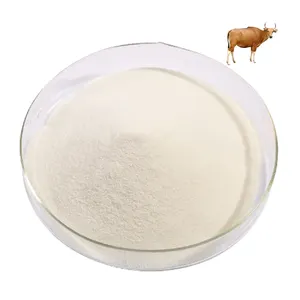 补充胶原蛋白水解牛肉胶原蛋白无味蛋白牛