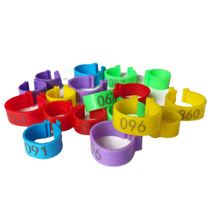 Anneaux de pied de poulet colorés anneau de boucle de volaille réglable pince de jambe en plastique identification bande de jambe de pied anneau numéroté - Product Image 1