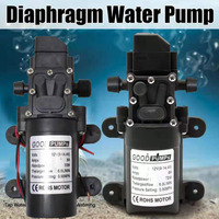 Mini pompe à eau à diaphragme électrique agricole haute pression 12V CC pour voiture, vente chaude