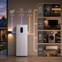 Système de stockage d'énergie tout-en-un avec onduleur hybride 12 kW + batterie LiFePO4 32 kWh |   Système de stockage d'énergie solaire 51,2 V 628 Ah pour usage résidentiel et commercial